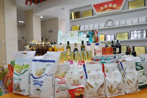 新津縣委書記調研企業疫情防控工作,鼓勵企業化危為機,服務社會